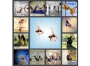 PROViDANCE. Школа танцев Витебск.