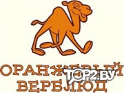 Оранжевый верблюд. Товары для детей Витебск.