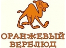 Оранжевый верблюд. Товары для детей Витебск.